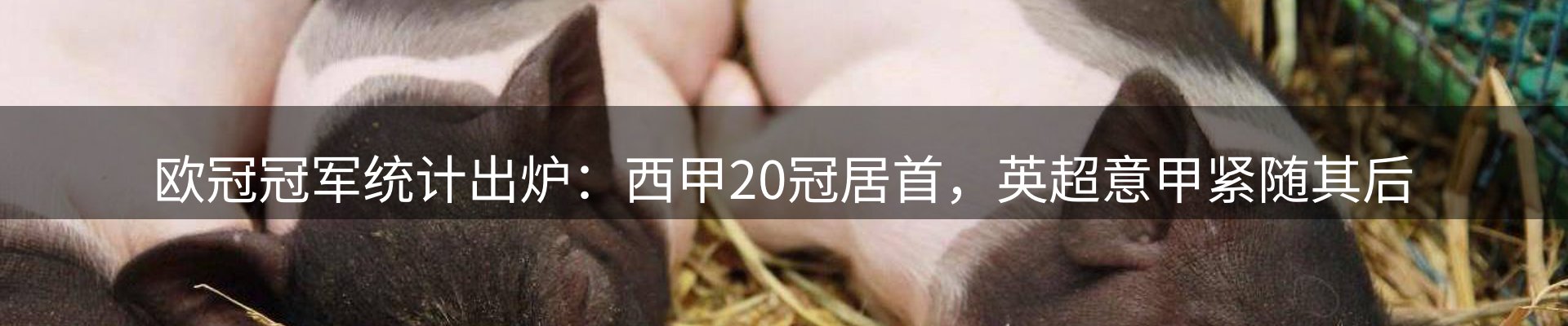 赛事资讯