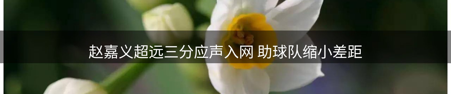 赛事资讯